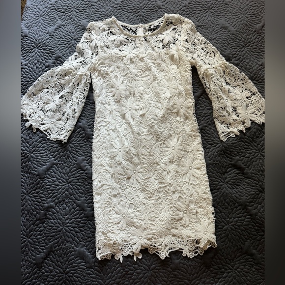 Bisou Bisou Lace Dress - Picture 1 of 4